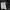 Jaket Windbreaker Arena X Dunlop Full Taped By Descente
 photo 7