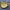 EIGER Sequoia NG Tas Selempang Serbaguna YELLOW photo 3