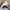 Sepatu Nike M2K Tekno White Gold photo 4