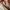 Dior Vintage Coquette Shoulder bag Wanita tan brown photo 8