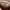 Dior Vintage Coquette Shoulder bag Wanita tan brown photo 6