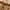 Dior Vintage Coquette Shoulder bag Wanita tan brown photo 7