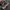VANS Gorpcore Indie Sneakers Pria gray photo 5