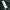 Arc'teryx Gorpcore Avant Garde Hoody Pria green photo 5