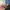 Apple Watch 3 photo 2
