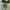 Converse One Star Mint Green photo 5