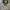 Converse One Star Mint Green photo 1