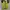 Converse One Star Mint Green photo 7