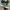 Converse One Star Mint Green photo 2