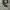 Converse CT Allstar Hi Black White photo 1