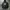 Hoodie Stussy Crown Camo photo 1