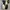 Converse CT70s Ying Yang White photo 7