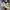 Converse CT70s Ying Yang White photo 2