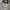 Converse CT70s Ying Yang White photo 1