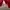 309. Hoodie GAP Merah photo 2