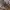 Stussy Vintage Y2K Hat Pria brown cream photo 4