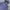 Un*qlo Ultra Light Down hoodie navy photo 3