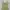Vintage Y2K Cami top Wanita green photo 2