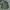 Parka m65 no tag photo 1