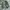 Parka m65 no tag photo 3