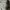 Parka m65 no tag photo 4