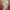 Long outer photo 1