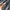 Metrocity Authentic Crossback Slingbag photo 6