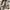 Flatshoes urban n co photo 1