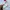 Timberland Polo shirt white photo 7