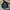 My Chemical Romance photo 4