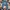 Celana Jeans Texwood photo 3