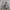 Carhartt Streetwear Y2K Dungaree Pria multicolor photo 6