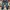 Celana Jeans Sukajan Blue Jeans photo 3