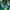 Vintage Club Leon Mexico Jersey