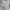 UNIQLO BLOCKTECH Jaket pria wanita size S fit M photo 8