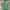 Umbro Tamplate Celtic Football Jersey