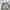 Young string banding washed cargo jorts pants photo 2