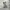Young string banding washed cargo jorts pants photo 3