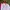 Dunlop Pro Colorblock Windbreaker Y2k Jacket photo 2