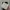 Charles and Keith Minimalist Tas dompet Wanita white photo 3