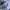 Sweatshirts GU NYU New York Universty photo 4