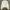 Sweatshirt Hnm
