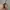 Apple Watch SE 2 44mm photo 3