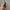Apple Watch SE 2 44mm photo 2