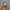 Apple Watch SE 2 44mm photo 6