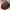 Coach Luxury Minimalist Shoulder bag Wanita tan cream photo 4