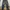 Baggy Pants Denim Cargo photo 2