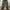 Baggy Pants Denim Cargo photo 1
