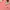 House of Smith (Hoodie/Pink Peach) photo 3