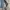 GUESS PARKA JACKET M65 photo 6